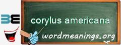 WordMeaning blackboard for corylus americana